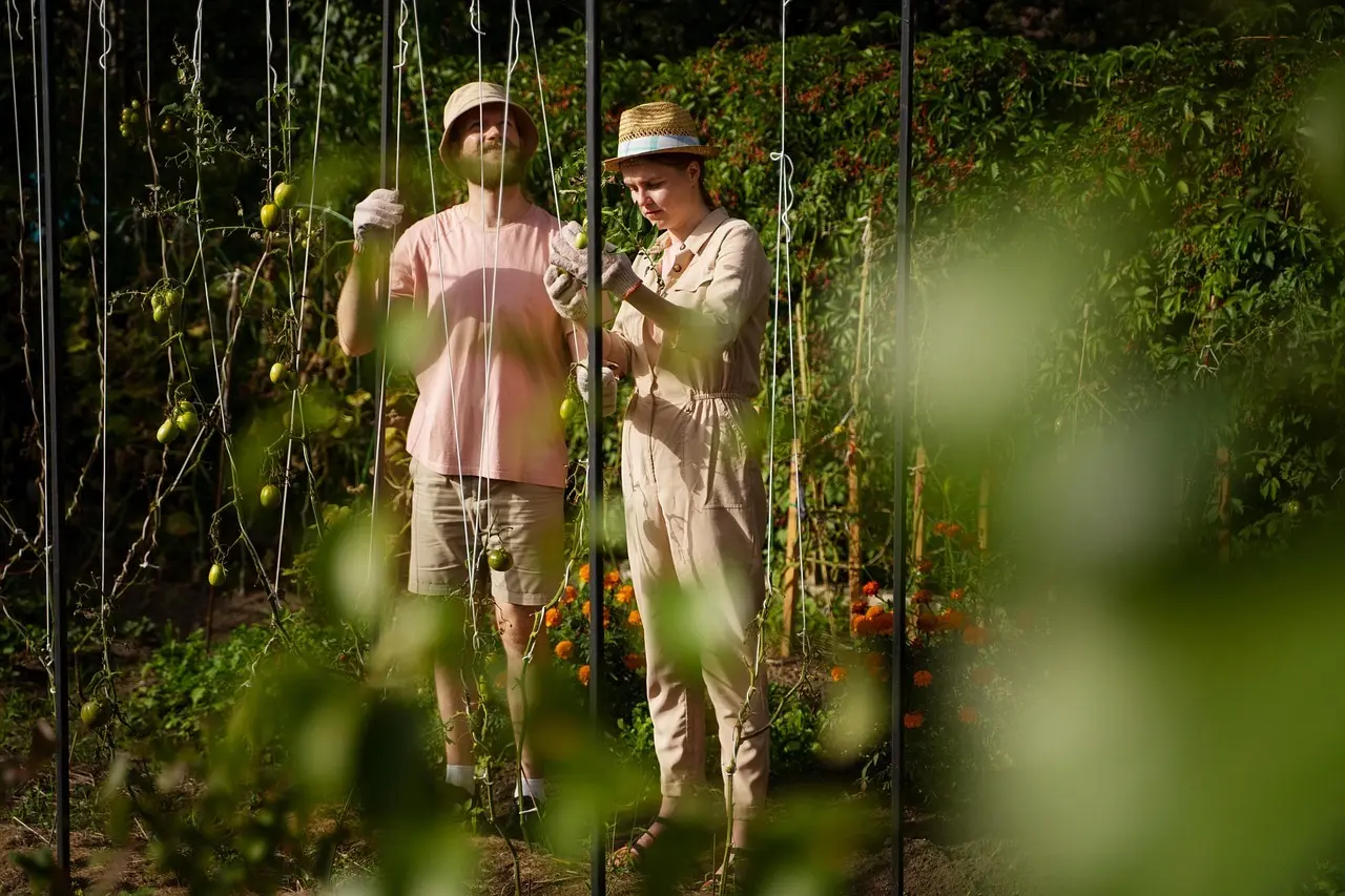 Jubilarernes plads i døren under morgensangen